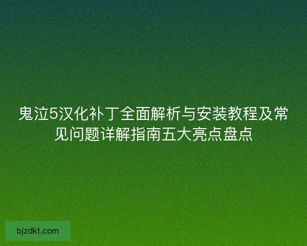 鬼泣5汉化补丁全面解析与安装教程及常见问题详解指南五大亮点盘点